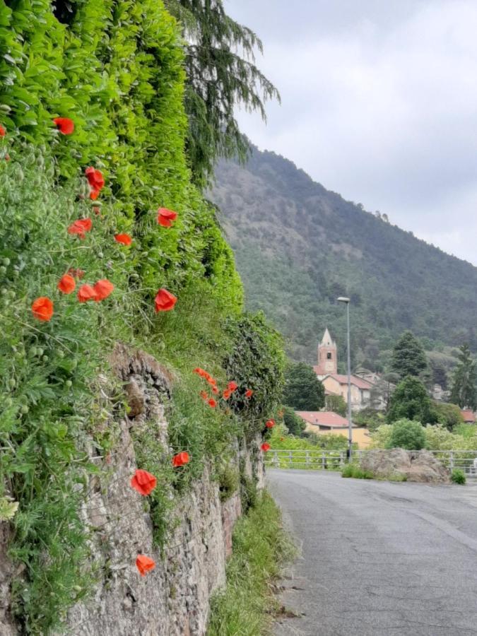 Appartamento In Villa Con Vista Monviso Piossasco Zewnętrze zdjęcie