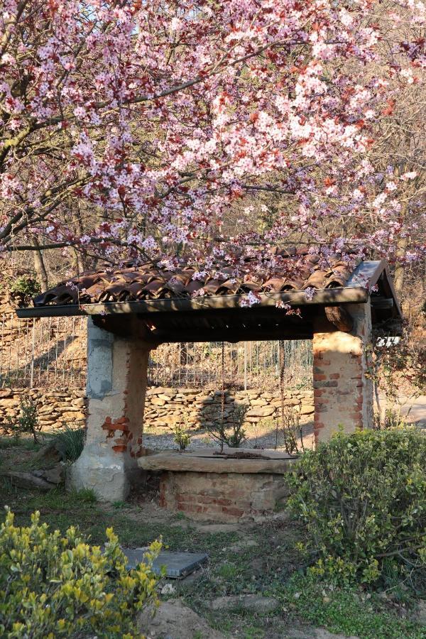 Appartamento In Villa Con Vista Monviso Piossasco Zewnętrze zdjęcie